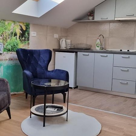 Naki Apartmani Podgorica Bagian luar foto